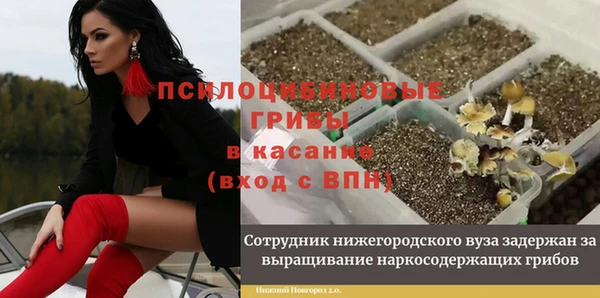 2c-b Балахна