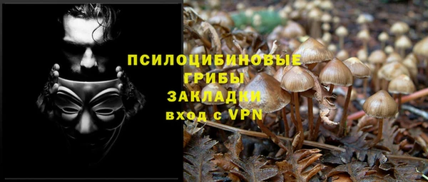 2c-b Балахна