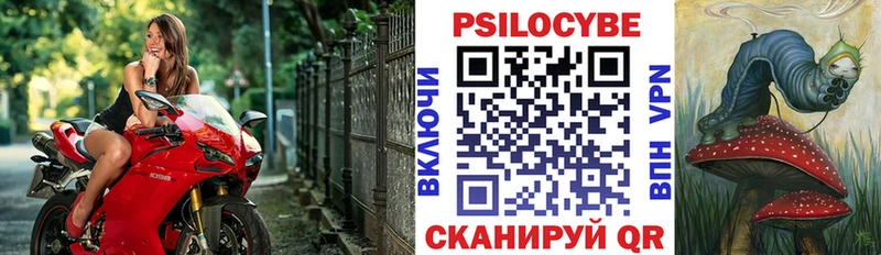 Псилоцибиновые грибы GOLDEN TEACHER  Кущёвская 