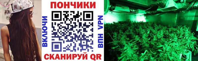 Бошки марихуана THC 21% mega вход Кущёвская